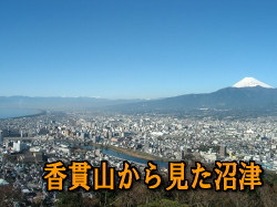 ӻ鸫