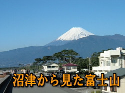 Ť鸫ٻλ