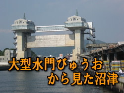 緿Ӥ夦鸫