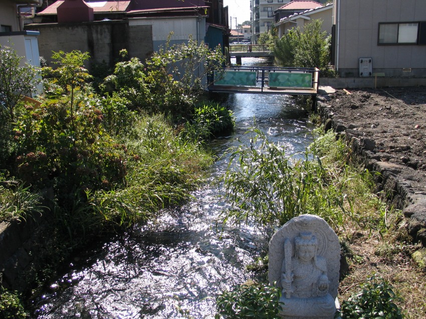 �ʐ^���\�������܂ł��΂炭���҂�������