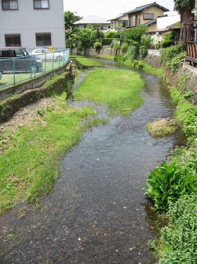 �ʐ^���\�������܂ł��΂炭���҂�������