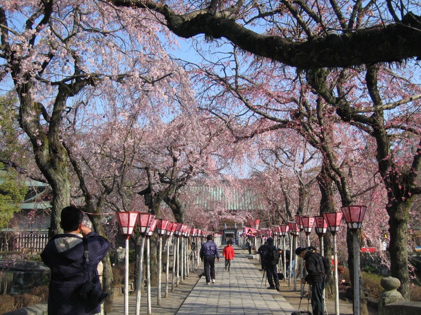 �ʐ^���\�������܂ł��΂炭���҂�������