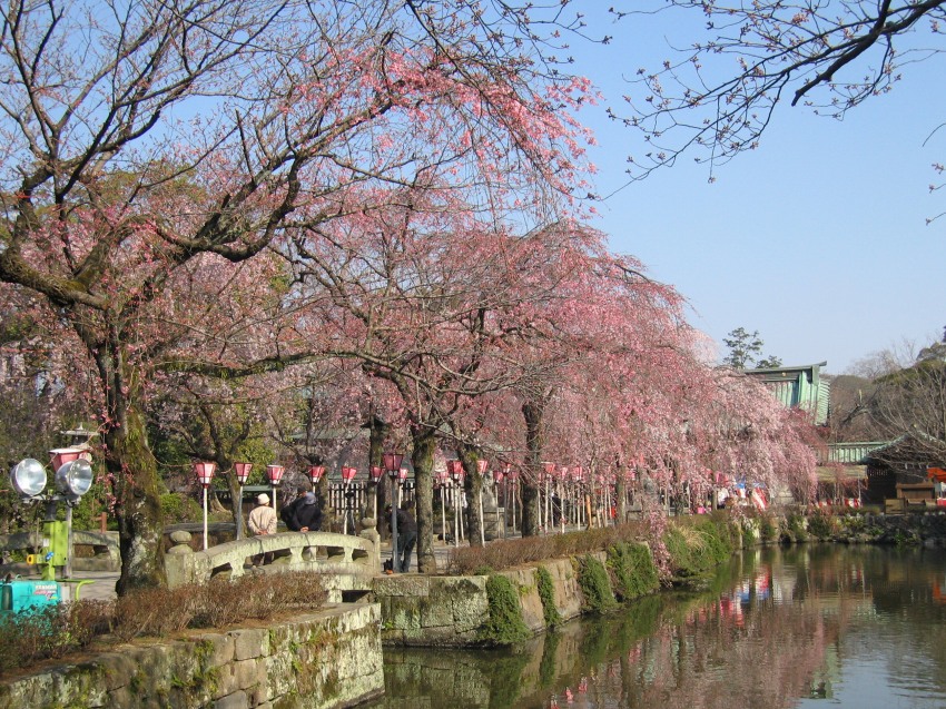 �ʐ^���\�������܂ł��΂炭���҂�������