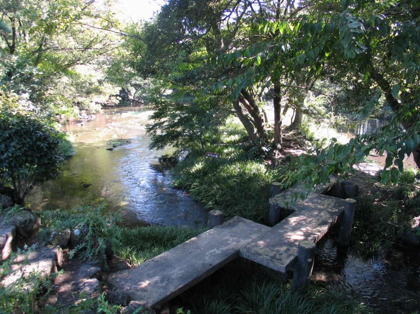 �ʐ^���\�������܂ł��΂炭���҂�������