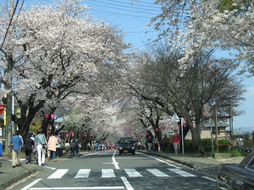 �ʐ^���\�������܂ł��΂炭���҂�������