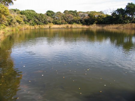 写真が表示されるまでしばらくお待ち下さい