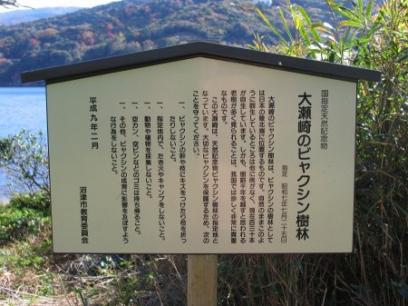 写真が表示されるまでしばらくお待ち下さい