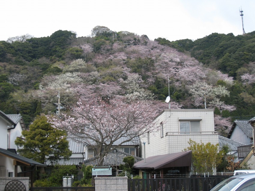 �ʐ^���\�������܂ł��΂炭���҂�������