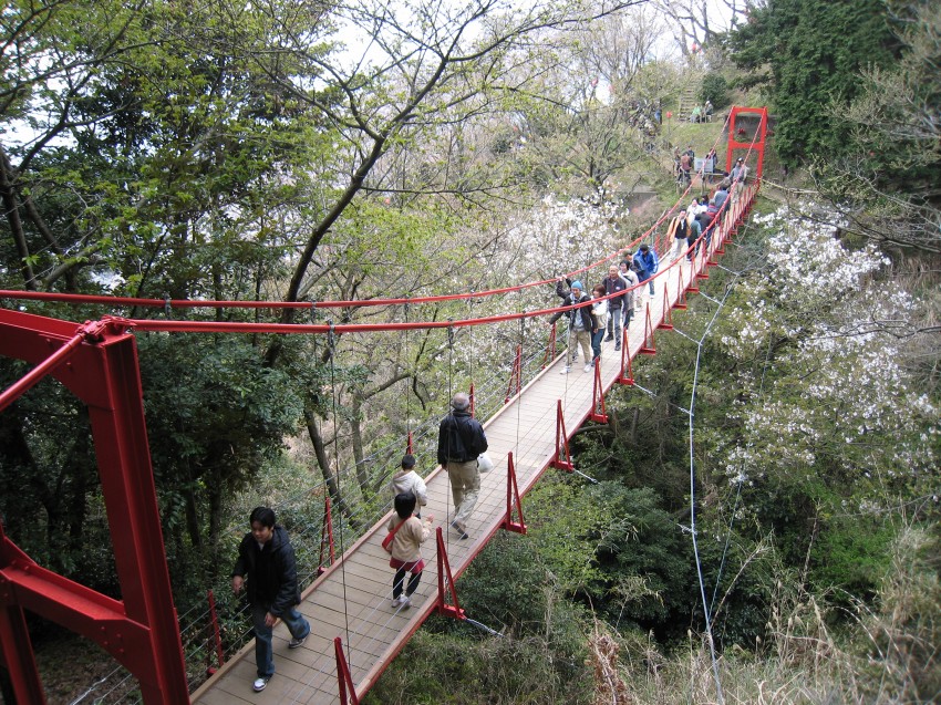 �ʐ^���\�������܂ł��΂炭���҂�������