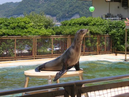 写真が表示されるまでしばらくお待ち下さい