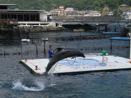 写真が表示されるまでしばらくお待ち下さい