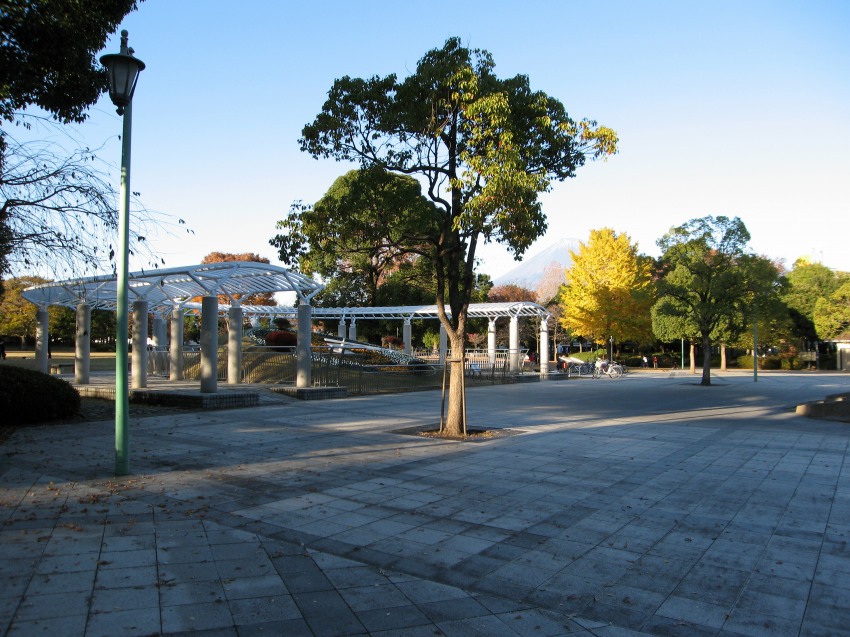 �ʐ^���\�������܂ł��΂炭���҂�������