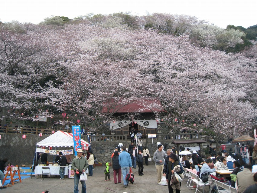 �ʐ^���\�������܂ł��΂炭���҂�������