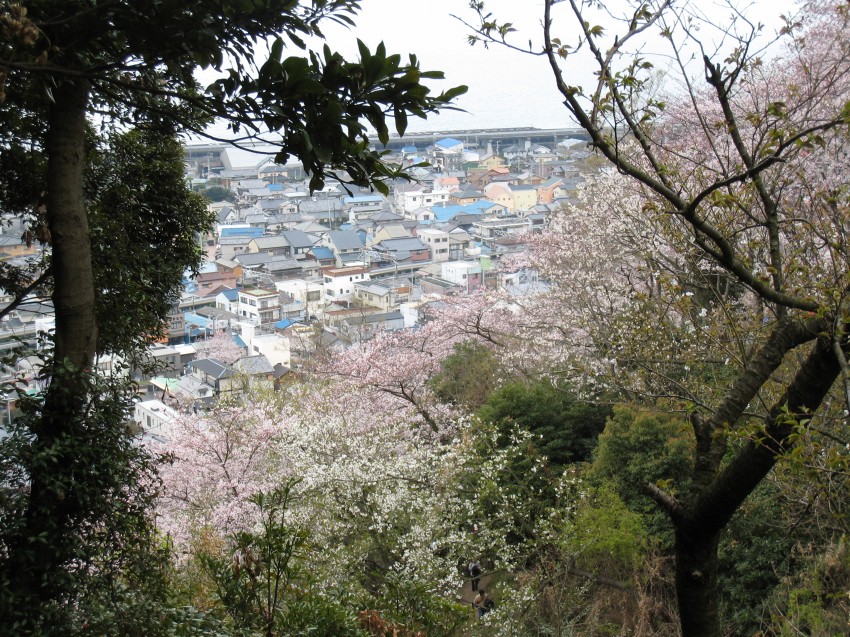 �ʐ^���\�������܂ł��΂炭���҂�������